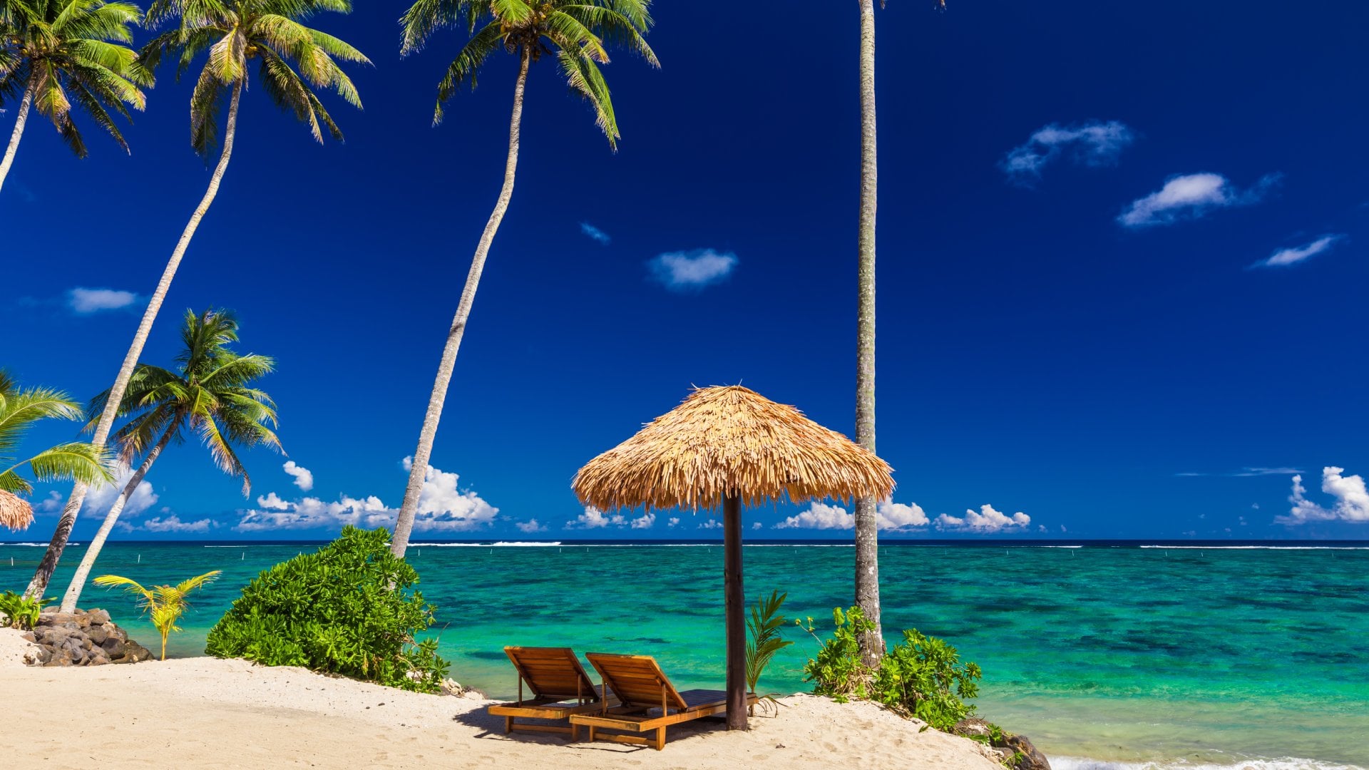 Two beach chairs under umbrella with palm trees, Samoa Islands