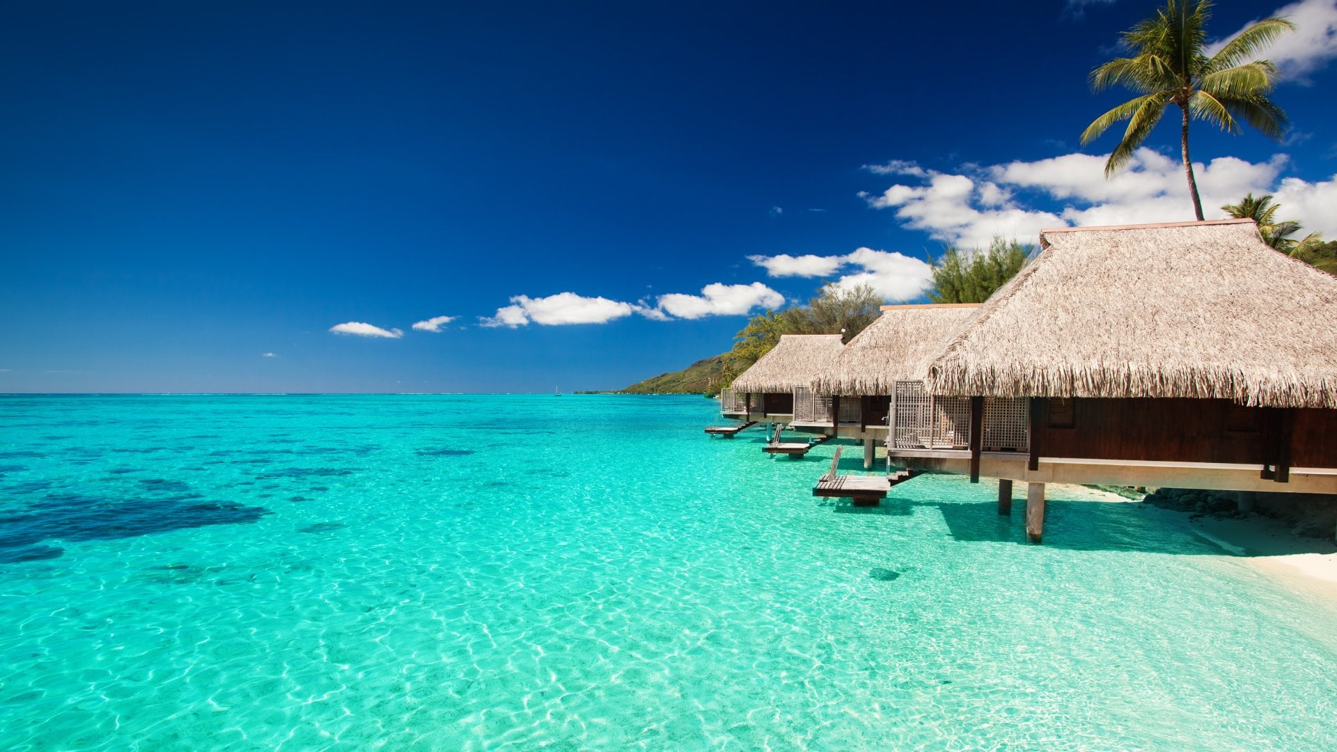 French Polynesia Villas on the green tropical beach with steps into water
