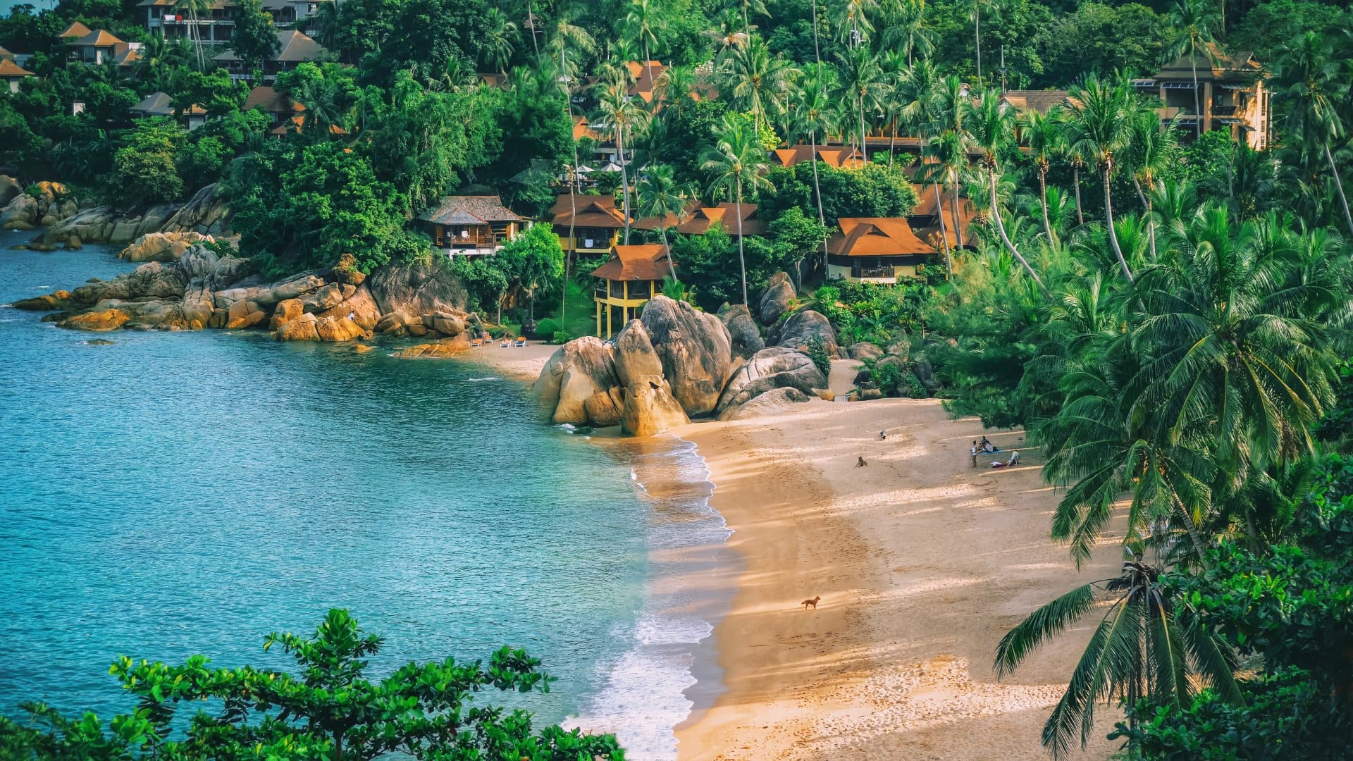 aerial view of a sandy beach with tropical forest surrounding