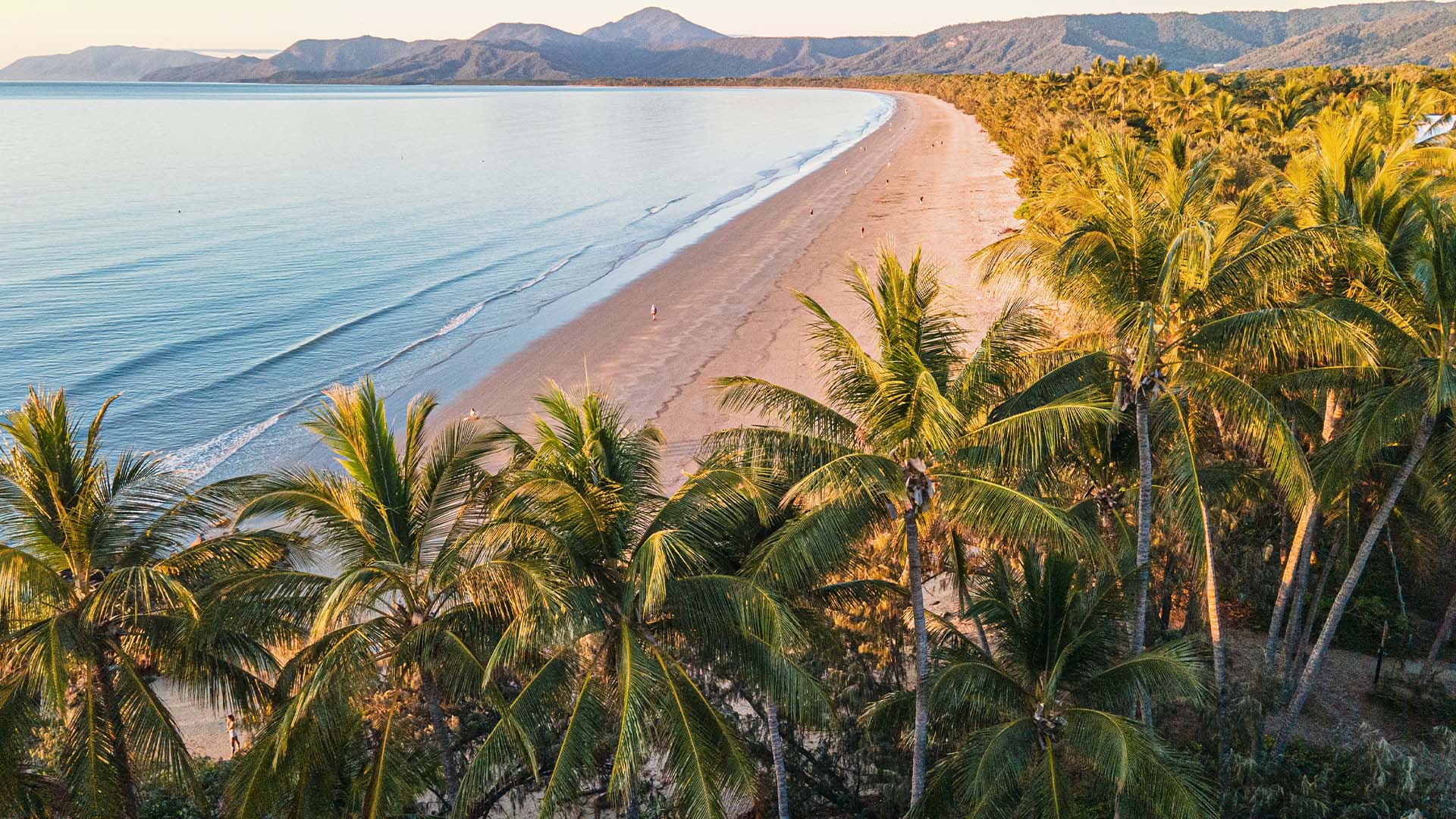 Port Douglas, Australia Panoramic view of the beach and palm trees lining the ocean in Port Douglas, Australia