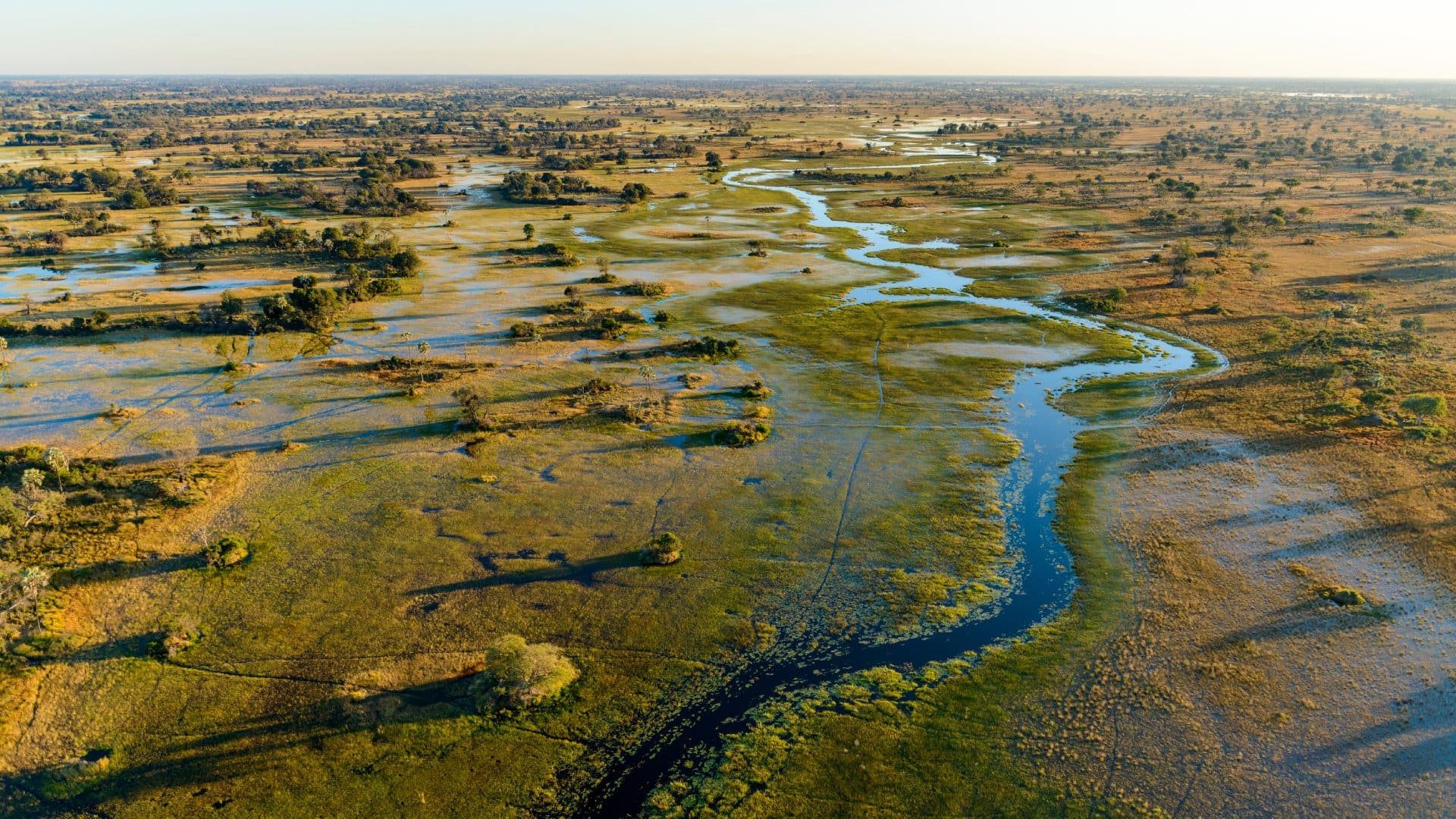 an aerial view of the waterways and flooded plains of the Okavango Delta in Botswana