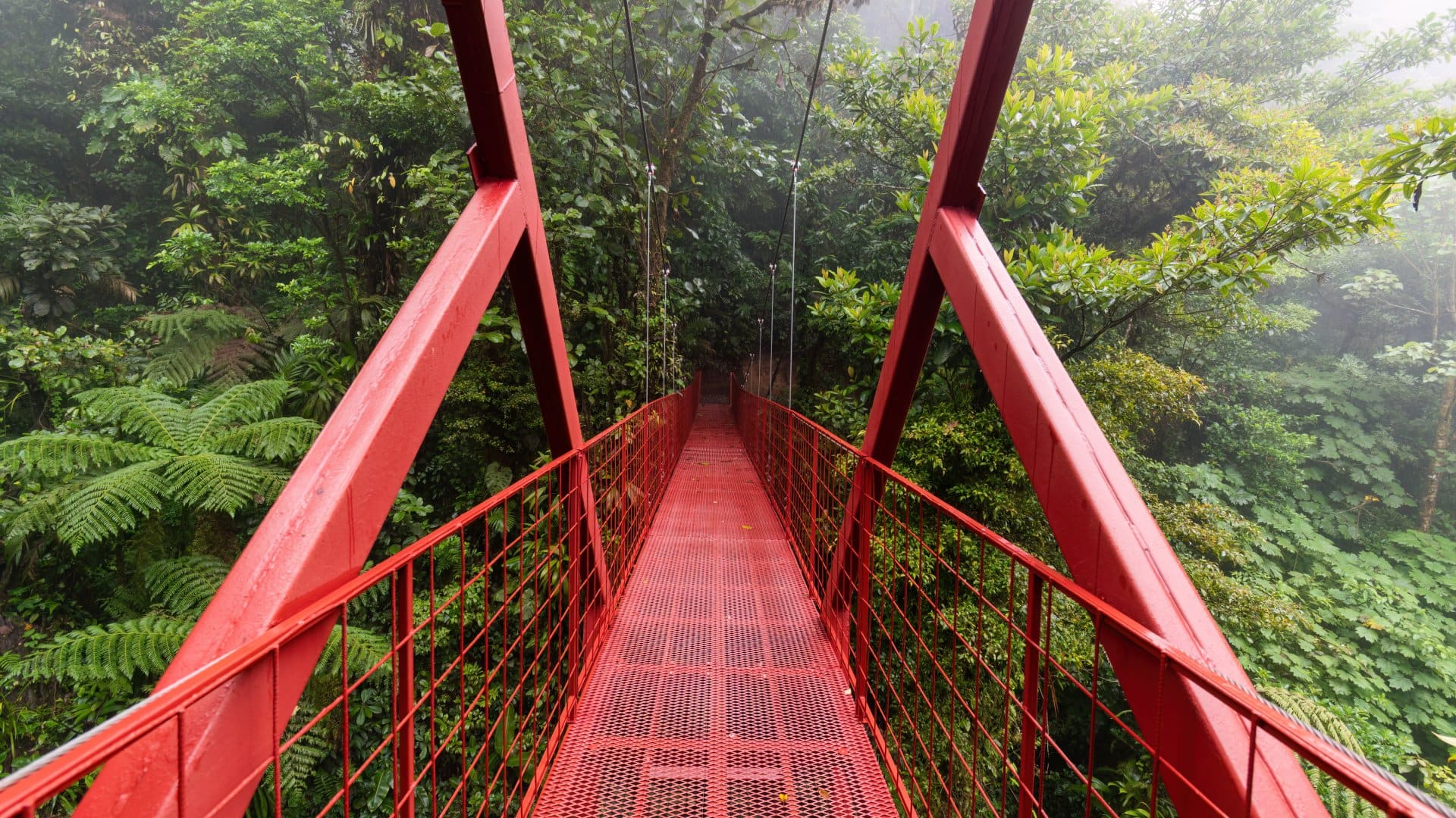 Monteverde, Costa Rica A red hanging bridge cuts through the cloud forest of Monteverde on a Costa Rica vacation.