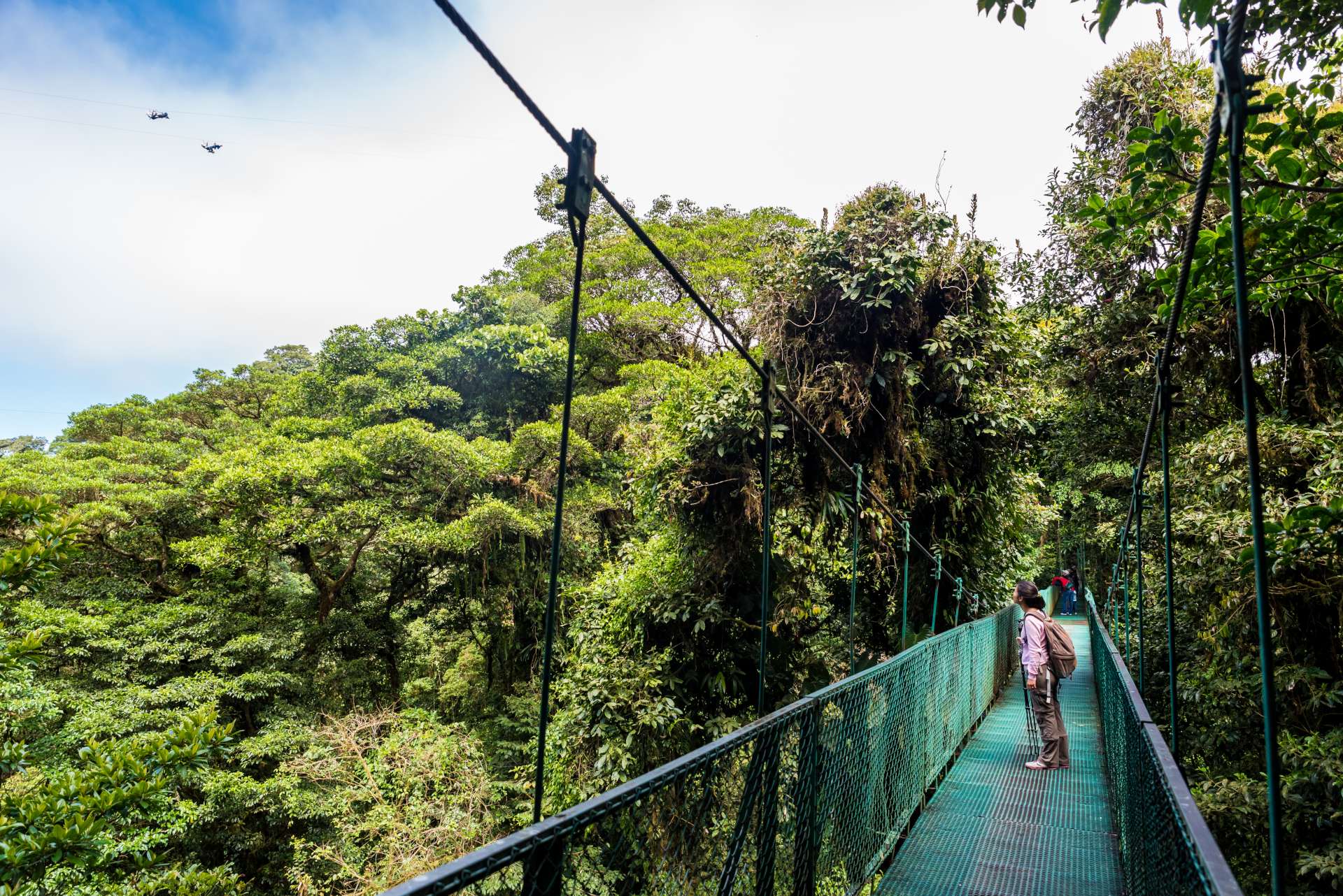 A woman looks out over the jungle canopy from a hanging bridge in the rainforest of Costa Rica.