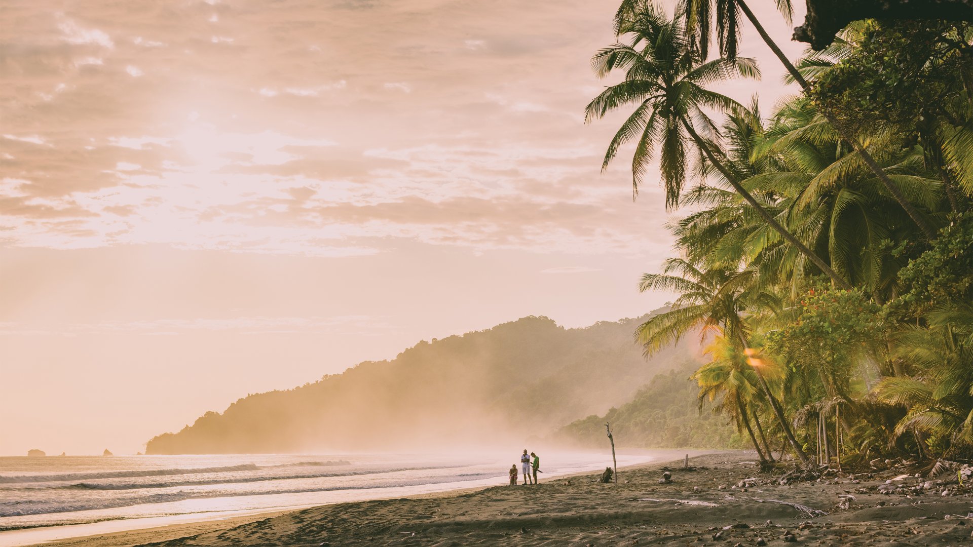 people on beach in morning with palm trees, sand and mist