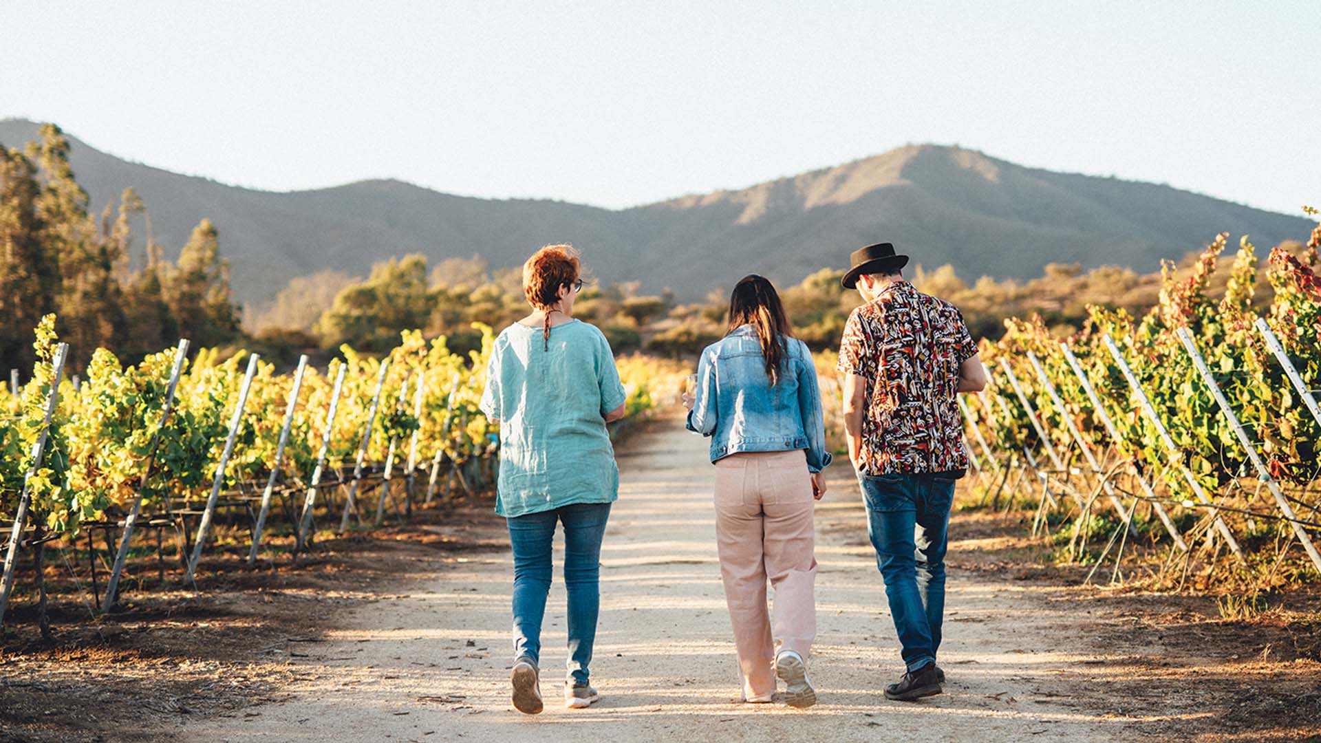 Two tourists and a guide walking through a vineyard in Chile's Central Valleys