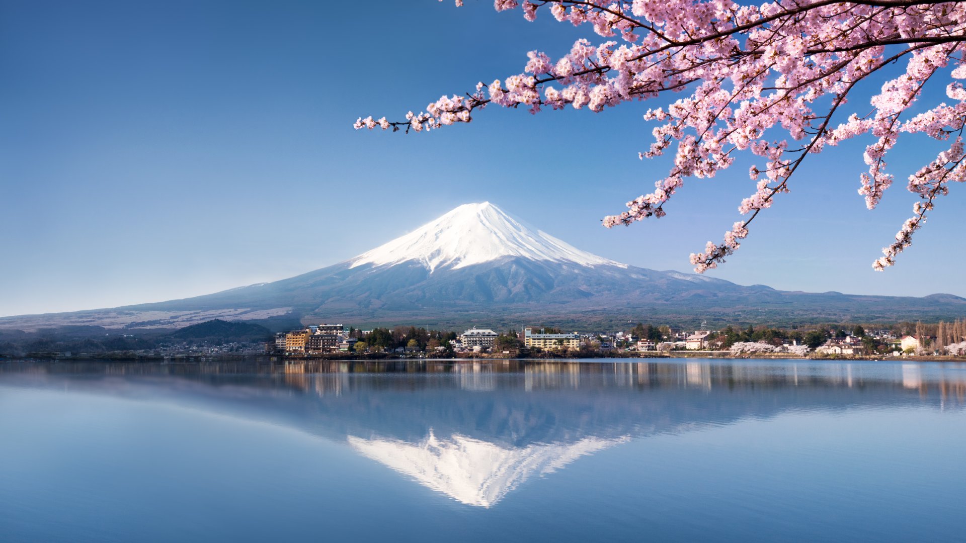 Mount Fuji, Japan mountain across a clear lake with reflection and cherry blossoms