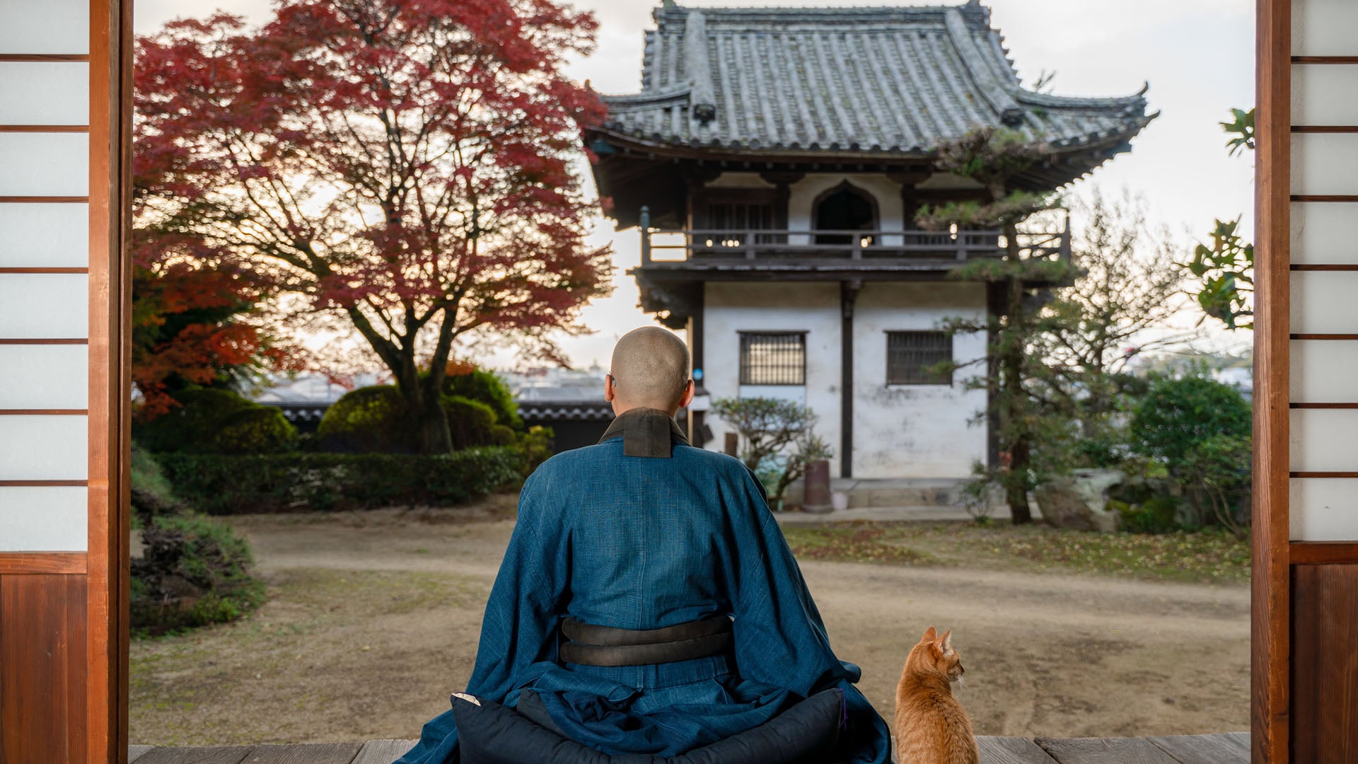 A Japanese Buddhist monk meditating next a cat in a temple in Japan.