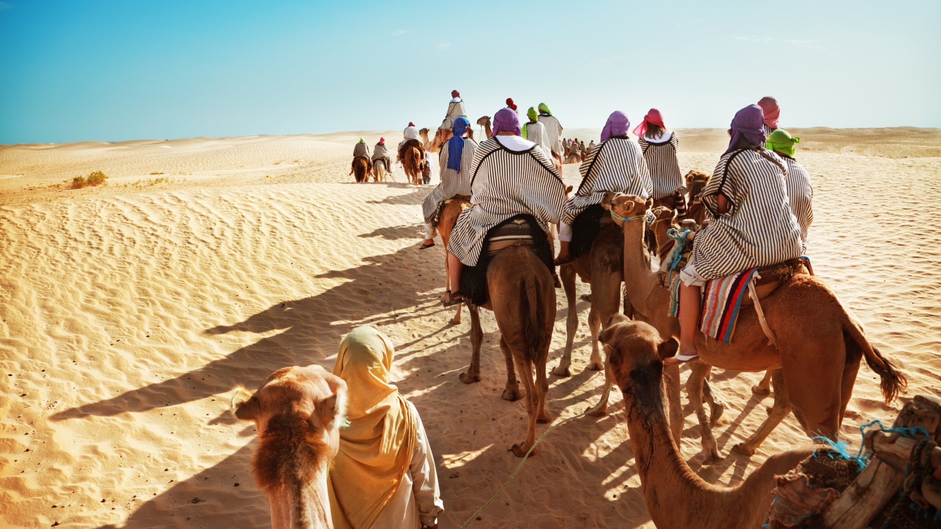 a group of travellers ride camels into the sands of the Sahara Desert on a group trip in Morocco