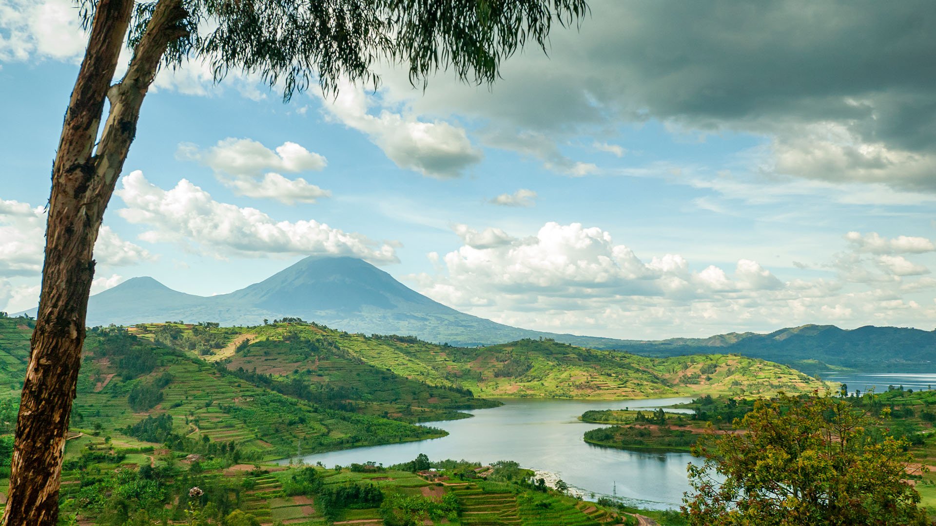 A landscape view of the Virunga Mountains in northeastern Rwanda.