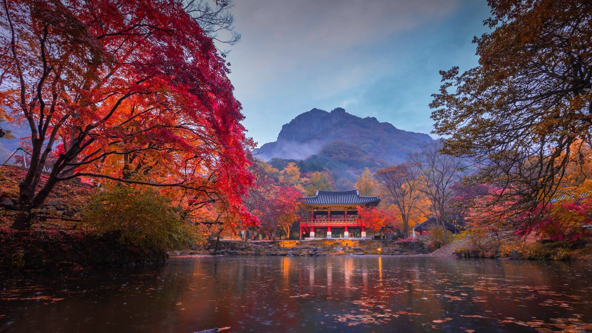 Baekyangsa Temple surrounded by the colours of autumn in Naejangsan National Park in South Korea