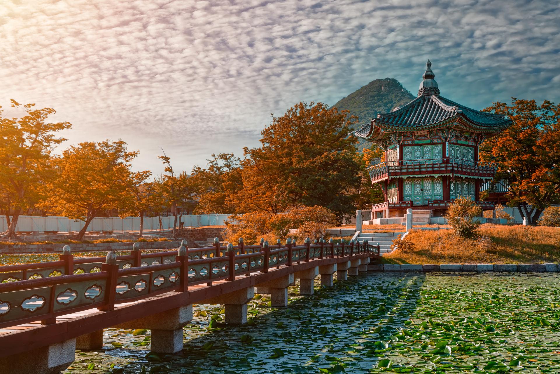view of a palace pagoda surrounded by oranges of fall and a moat and bridge