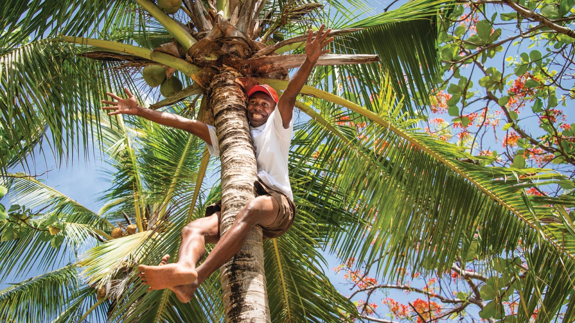 a man in a coconut tree energetically welcoming someone with both hands outstretched in Fiji