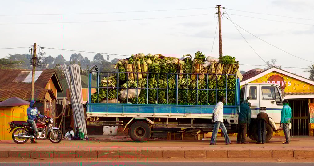 A truck of bananas near Kampala A truck of bananas near Kampala