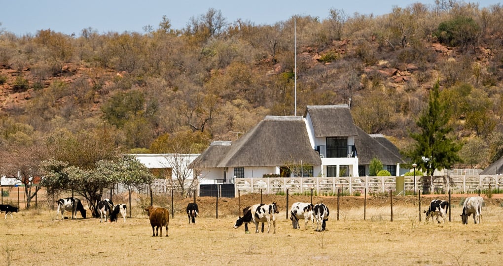 Visiting an African farm near Gaborone is a unique inclusion to your Botswana safari. Visiting an African farm near Gaborone is a unique inclusion to your Botswana safari.