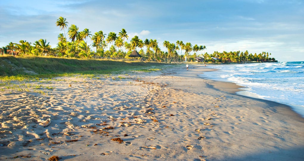 recife tours recife tours