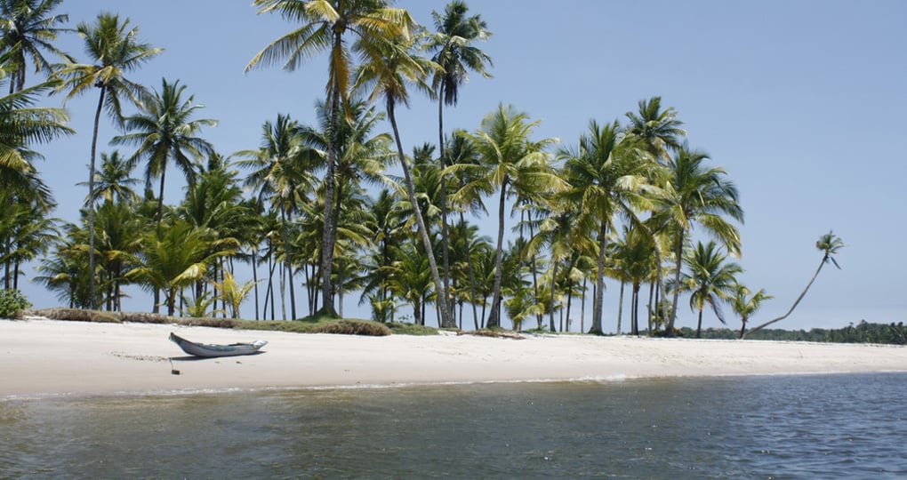 Get Salvado Travel Package on your vacations Get Salvado Travel Package on your vacations