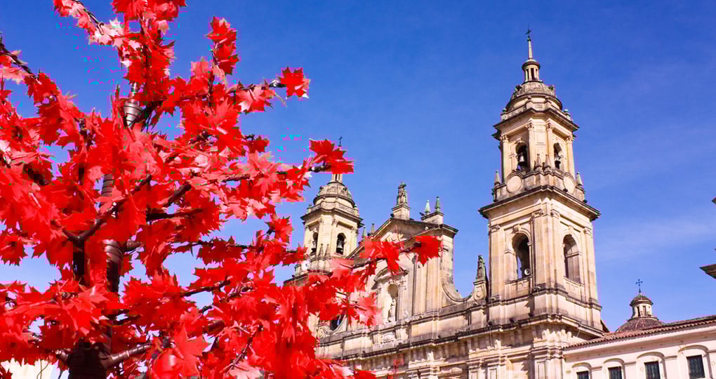 Cathedral of Bogota Cathedral of Bogota