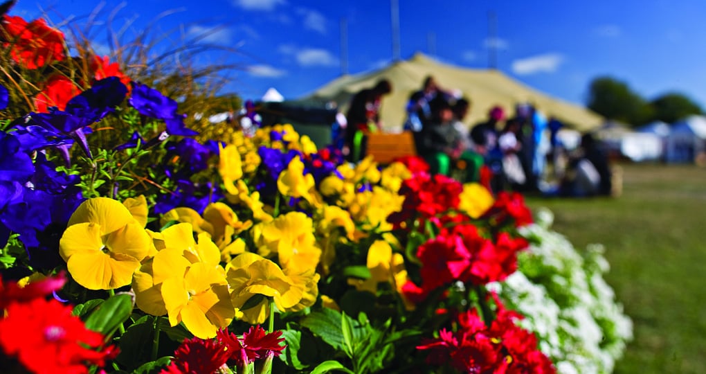 Christchurch - the "Garden City" Christchurch - the "Garden City"