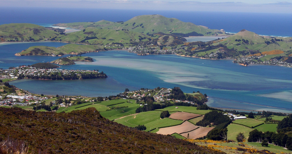 A view of the Dunedin Peninsula A view of the Dunedin Peninsula