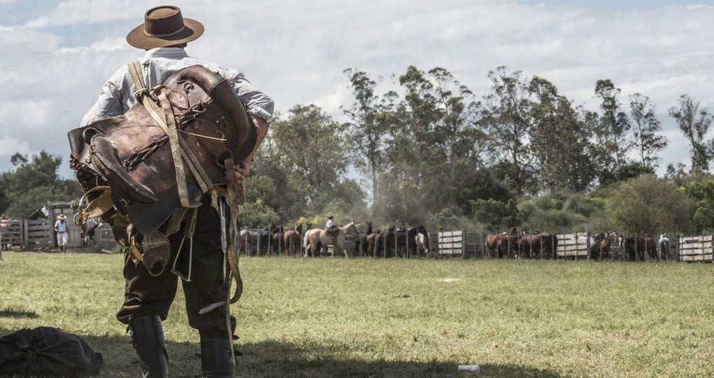 colonia vacation colonia vacation