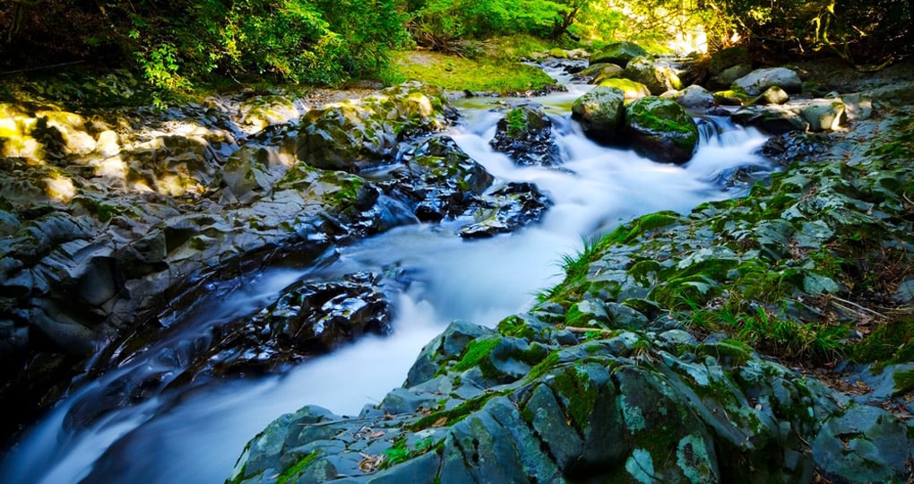 Kawazunanadaru Falls Izu National Park is a great inclusion on all Japan tours.