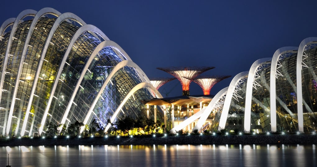 The Supertree Grove Cloud Forest & Flower Dome