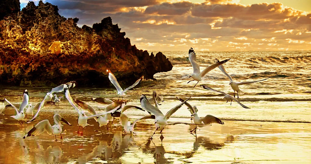 The beach at Two Rocks - an outer suburb to the north of the city