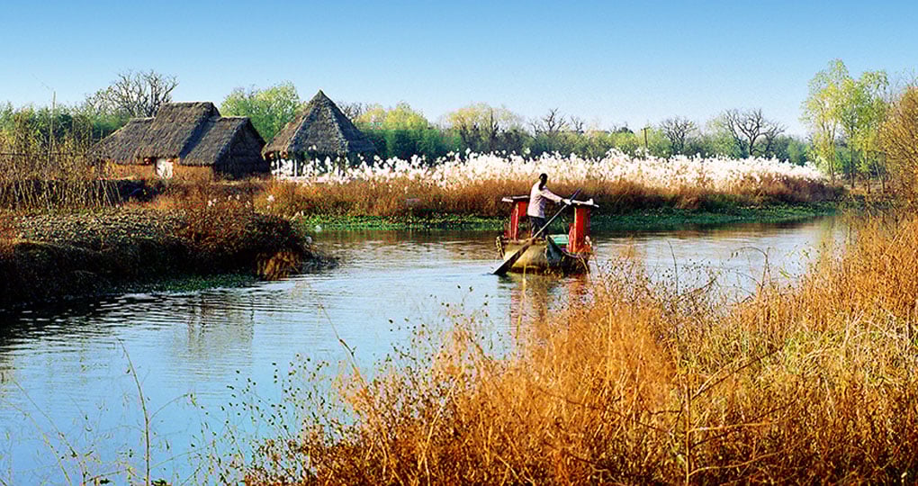 Xixi National Wetland Park Xixi National Wetland Park
