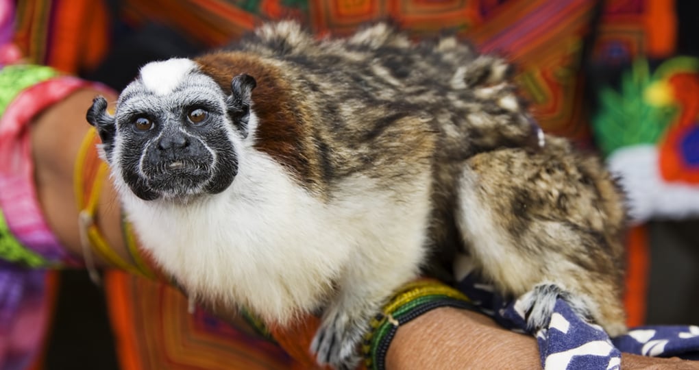 San Blas Islands vacation