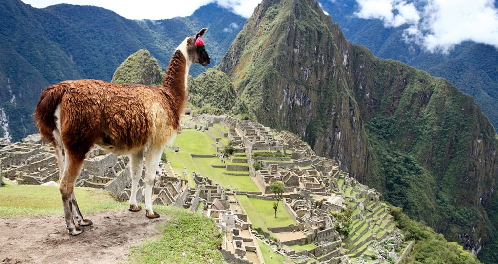 machu picchu trip