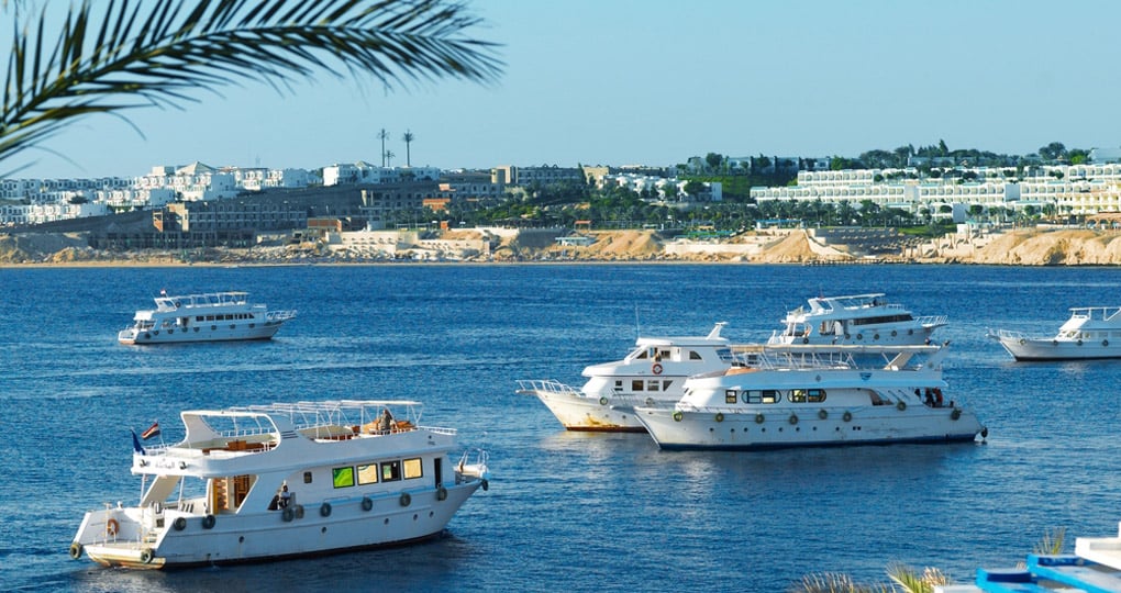 A beach stay on the Red sea near Sharm el Sheikh is a great choice for a Egypt vacation. A beach stay on the Red sea near Sharm el Sheikh is a great choice for a Egypt vacation.