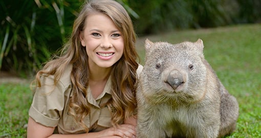 Bindi Irwin at Australia Zoo on the Sunshine Coast Bindi Irwin at Australia Zoo on the Sunshine Coast