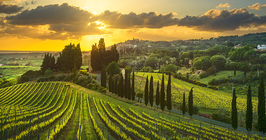 Explore the landscape of Tuscany from the walls of Montepulciano