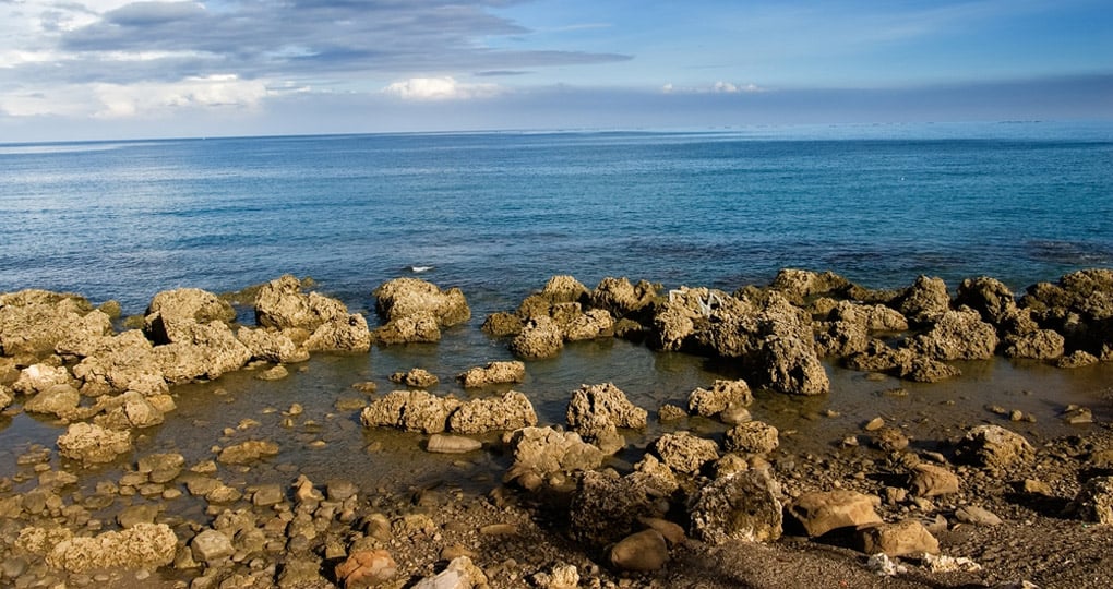 Coral reef rock coastline Coral reef rock coastline