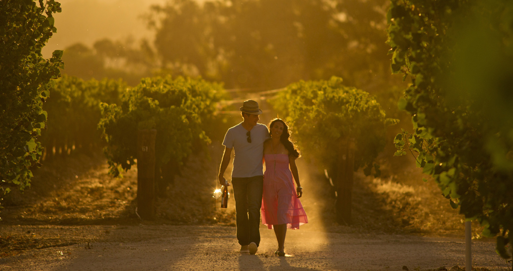 Home to Penfolds, Wolf Blass and Jacobs Creek wineries Home to Penfolds, Wolf Blass and Jacobs Creek wineries