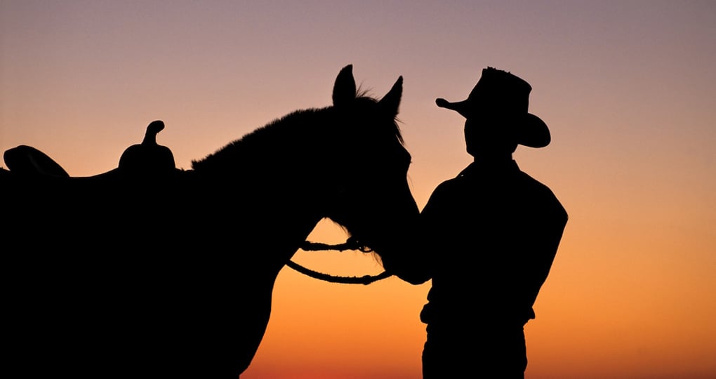 A stockman and his horse on an Aussie station (farm) A stockman and his horse on an Aussie station (farm)