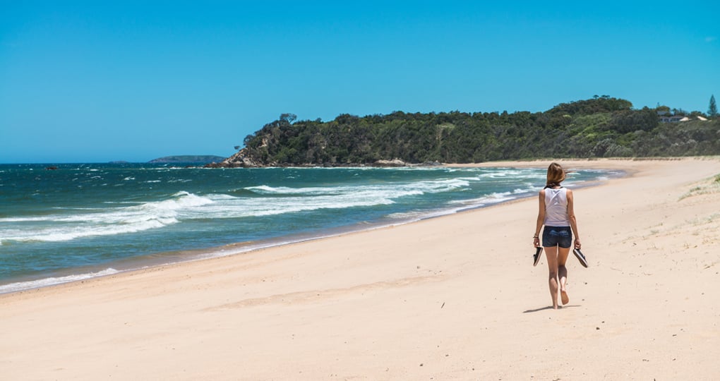 Enjoy Beach Walks Enjoy Beach Walks