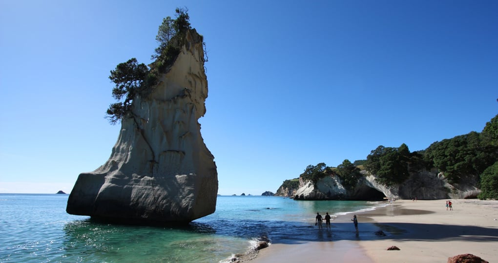 The famous Cathedral Cove in the Coromandel Peninsula is a great photo opportunity during your New Zealand vacation. The famous Cathedral Cove in the Coromandel Peninsula is a great photo opportunity during your New Zealand vacation.
