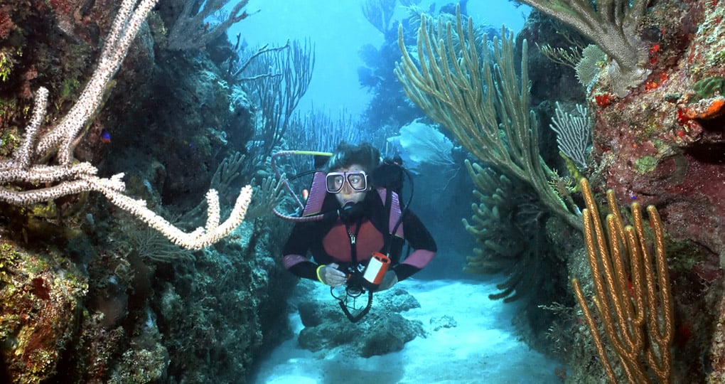 Roatan is home to the second largest coral reef in the world and a must see for divers during their Honduras tour Roatan is home to the second largest coral reef in the world and a must see for divers during their Honduras tour