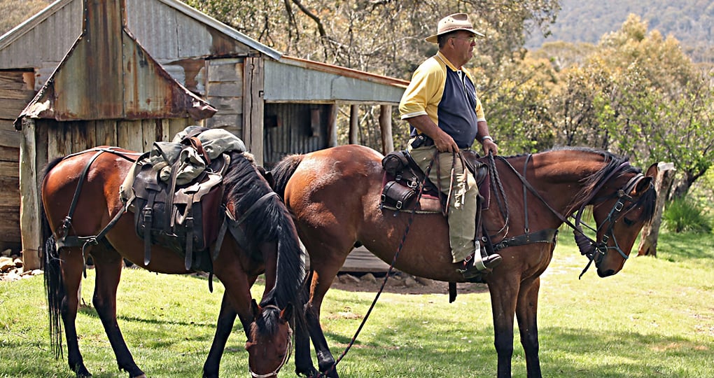 Horse ridding near the Snowy Mountains Horse ridding near the Snowy Mountains