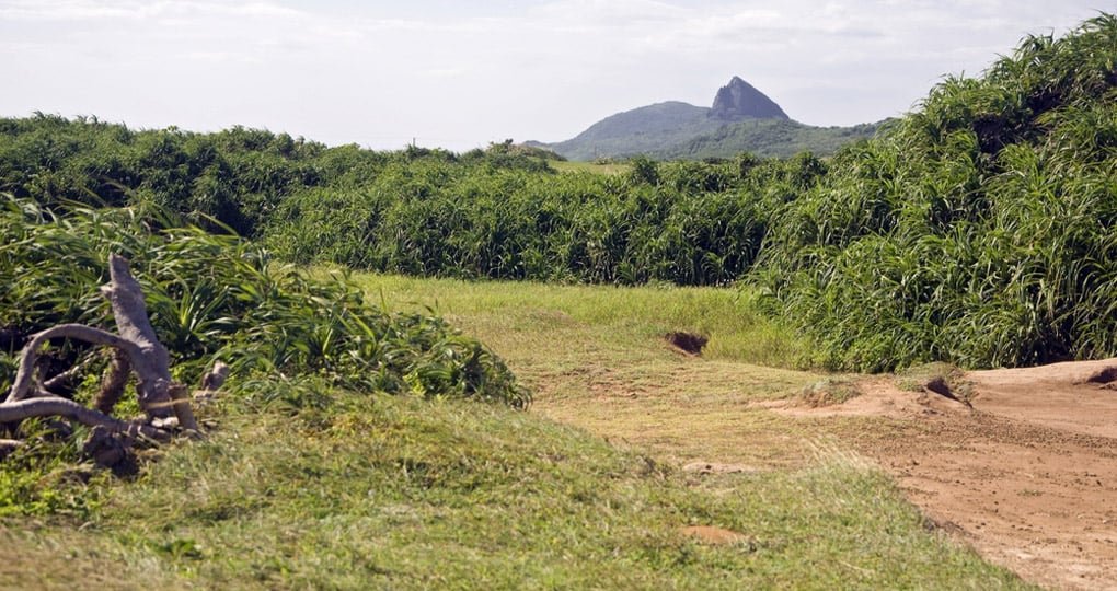 The park features a number of mountains The park features a number of mountains