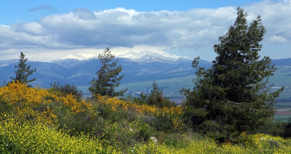 The surrounding landscape of the Golan Heights The surrounding landscape of the Golan Heights