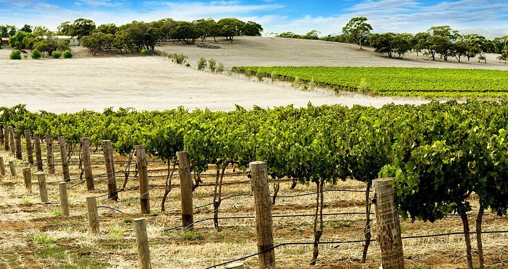 The area was shaped by the influence of German settlers The area was shaped by the influence of German settlers