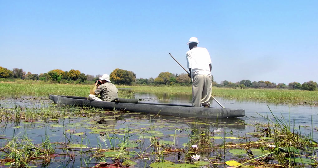 Moroko boat sailing through the Okavango Moroko boat sailing through the Okavango