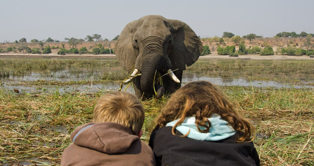 On Safari in Botswana On Safari in Botswana