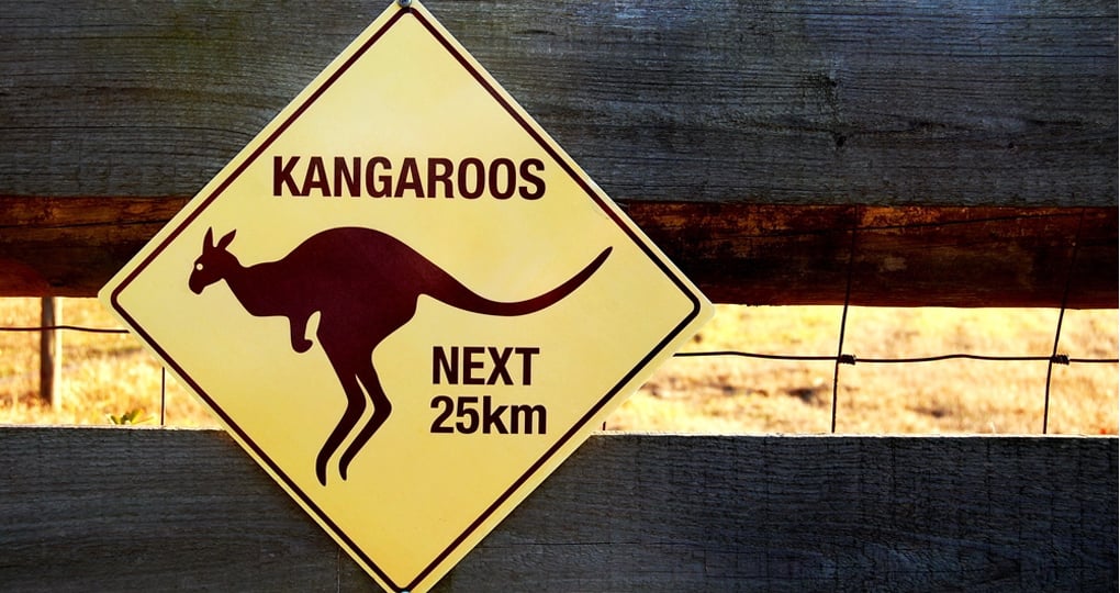 Outback kangaroo sign Outback kangaroo sign
