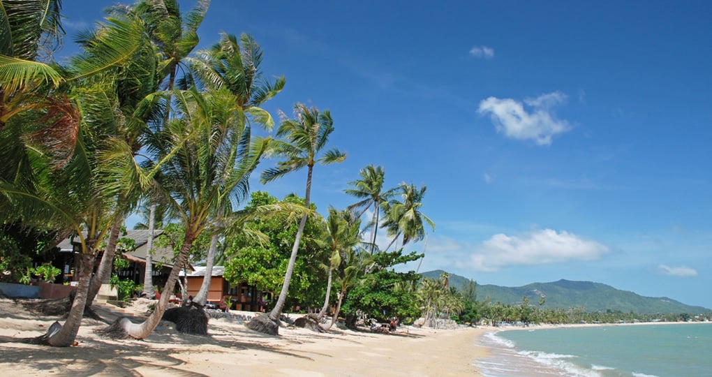 White sandy beaches, coral reefs and coconut trees White sandy beaches, coral reefs and coconut trees