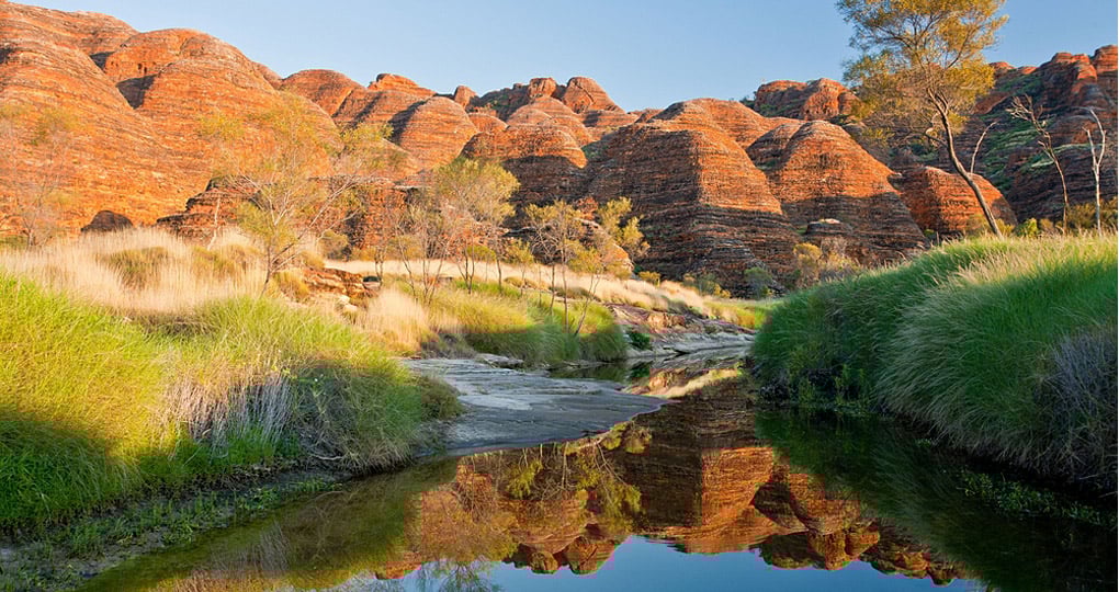 Beehive-like mounds with orange and black stripes