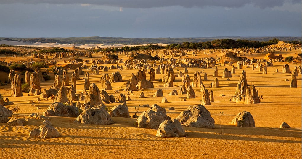 The Pinnacles Desert is one of country's best known landscapes and is a great addition to all Australia vacations. The Pinnacles Desert is one of country's best known landscapes and is a great addition to all Australia vacations.
