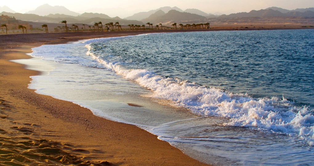 The Red Sea The Red Sea